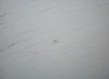 Μάρμαρο polaris λευκό
